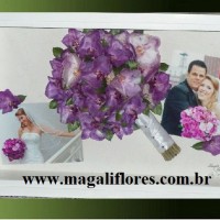 Orquídeas Falianópolis